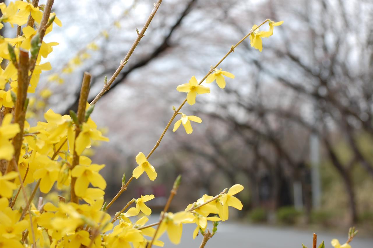 Hotel Kunihiro Yashiki Nasu Zewnętrze zdjęcie