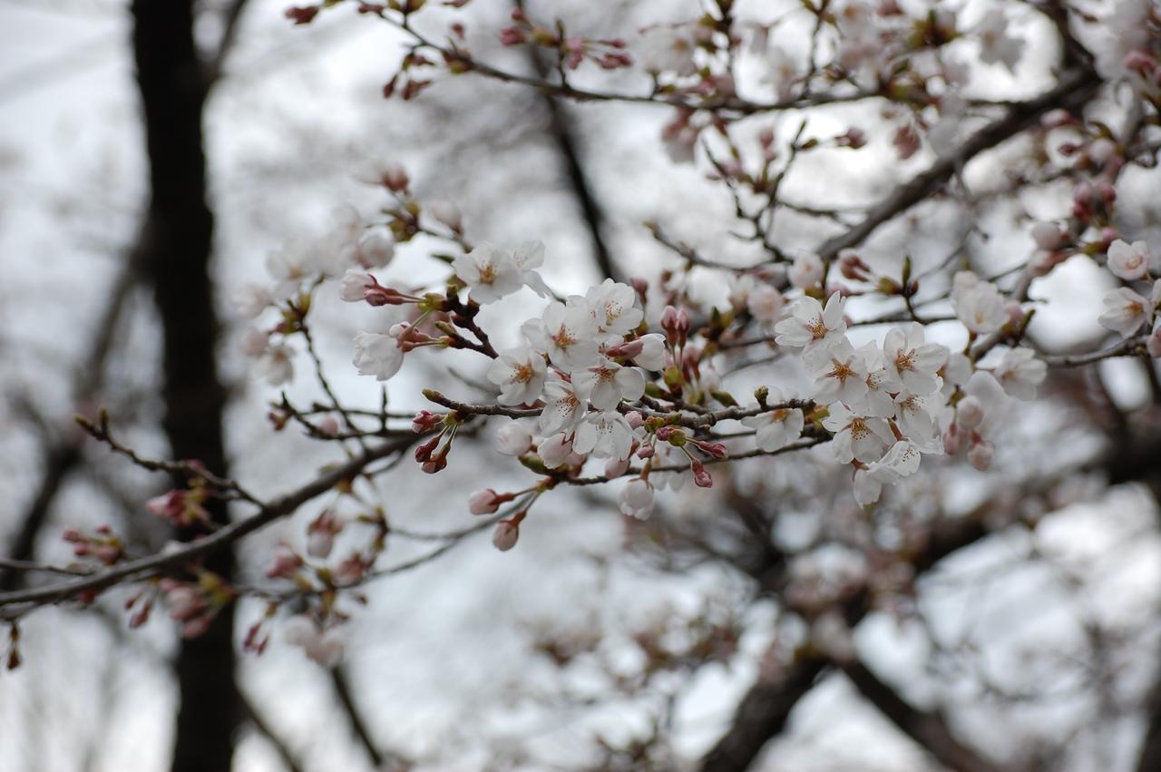Hotel Kunihiro Yashiki Nasu Zewnętrze zdjęcie