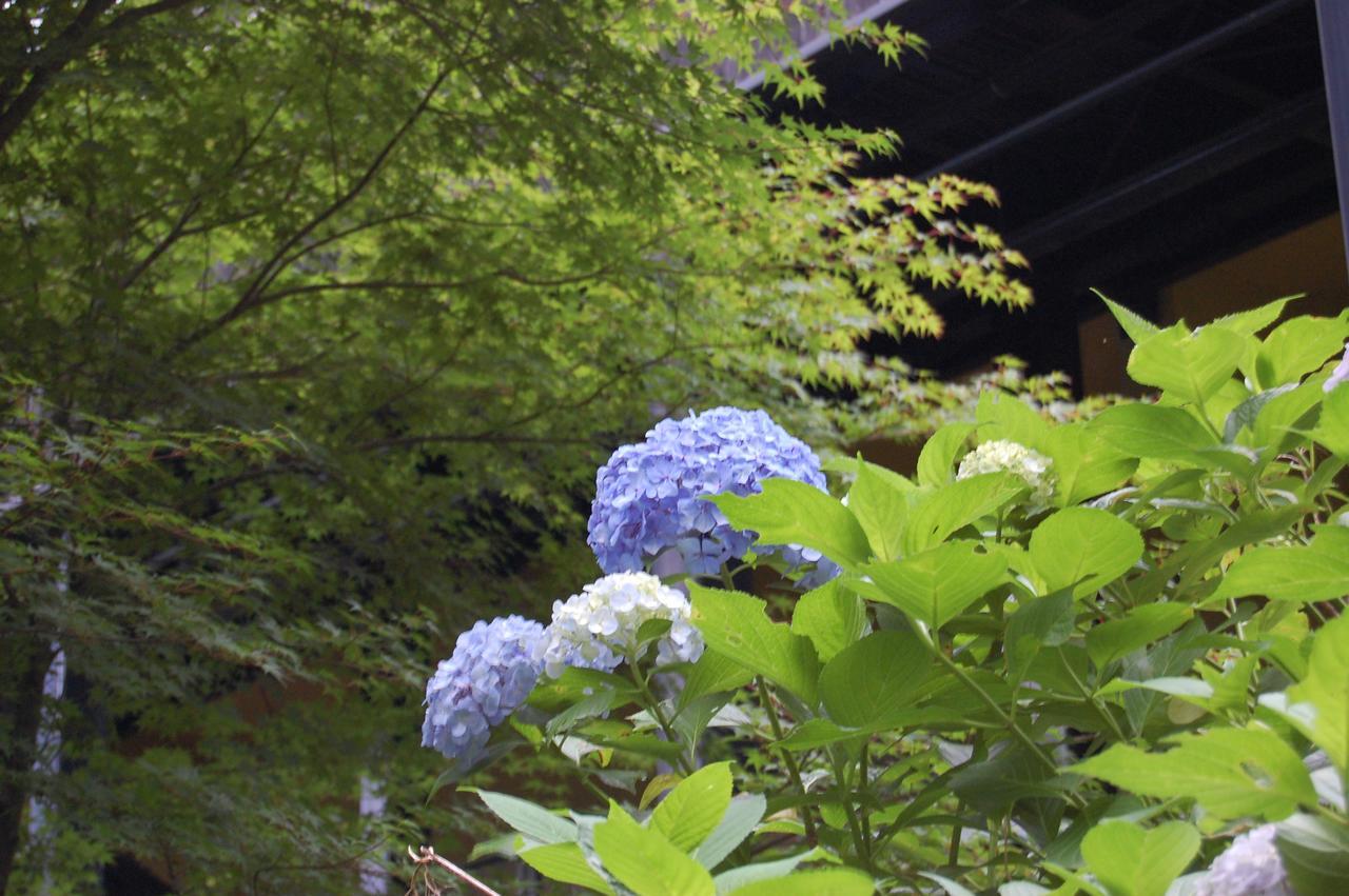 Hotel Kunihiro Yashiki Nasu Zewnętrze zdjęcie